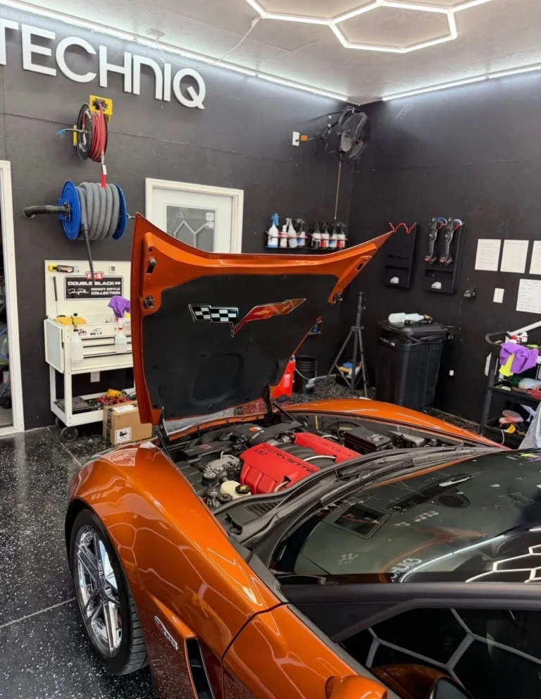 Engine bay cleaning in Shively, KY