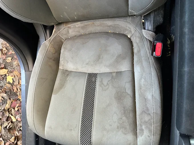 Car odor removal services in Jeffersonville, IN