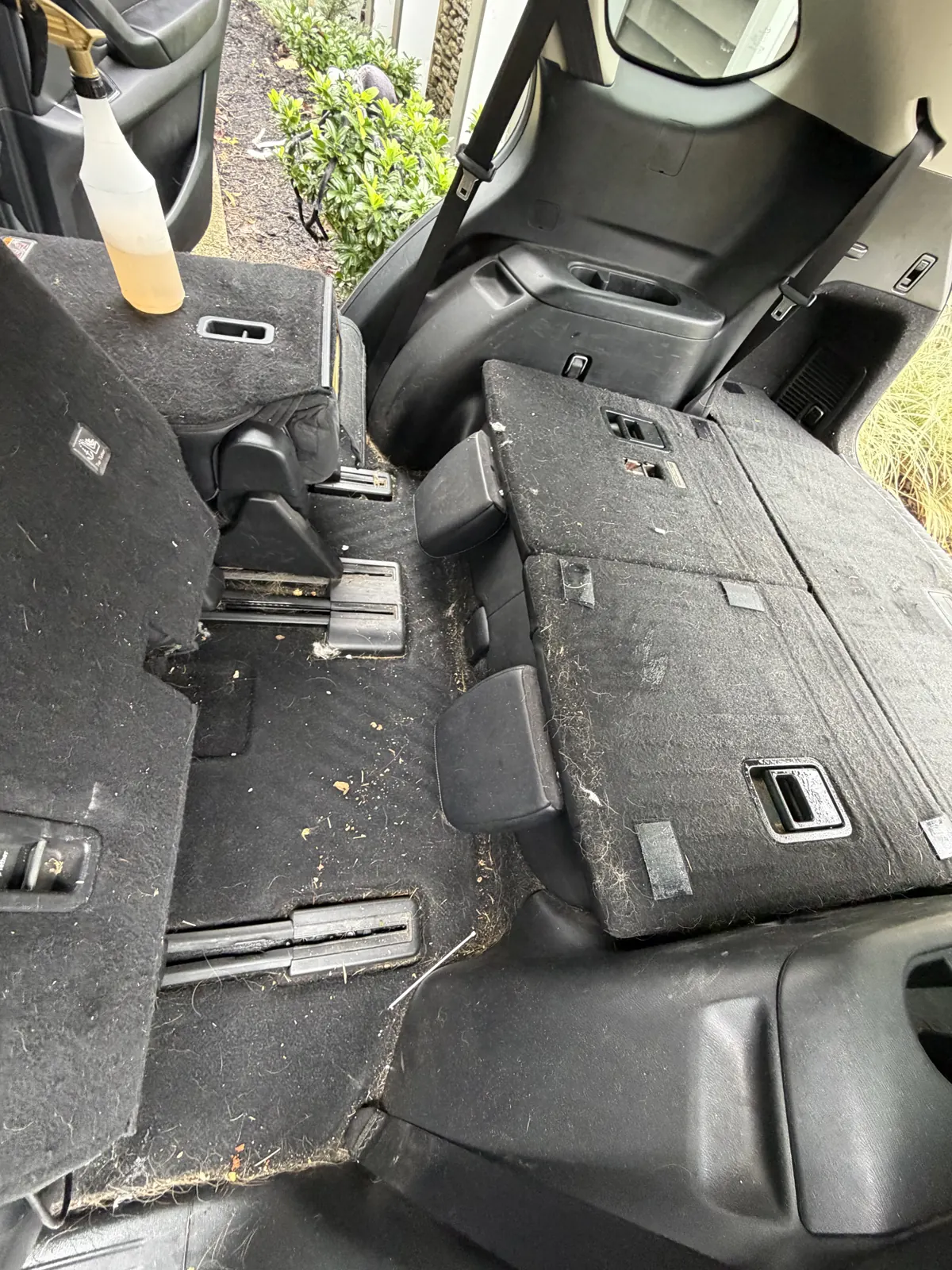 Dog hair packed into the cargo carpet and folded seat backs of an SUV before AMD pet hair removal in Louisville